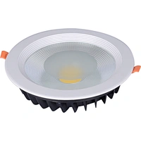 30W LED Down light