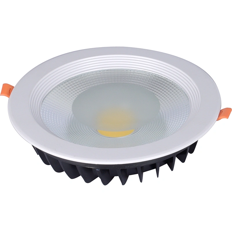 30W LED Down light