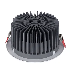 30W LED Down light