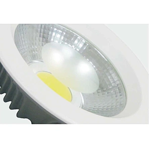 30W LED Down light