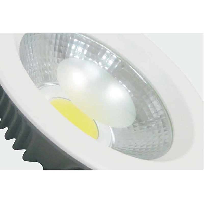 30W LED Down light