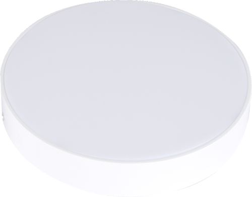 24W  LED PANEL LIGHT frameless