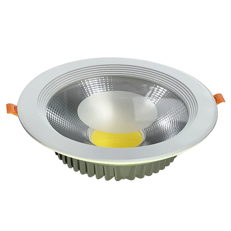 30W LED Down light