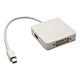 DisplayPort Male-DVI Female+DisplayPort Female+HDMI Female