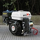 Gasoline engine