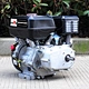 Gasoline engine
