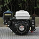 Gasoline engine