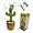 Dancing Cactus Plush Toys