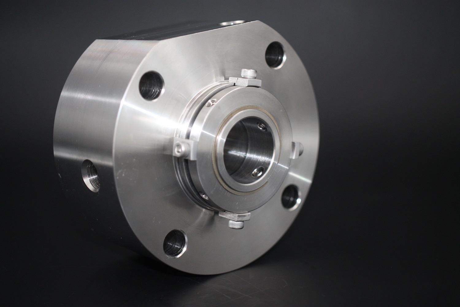 AS-C172 single cartridge mechanical seal