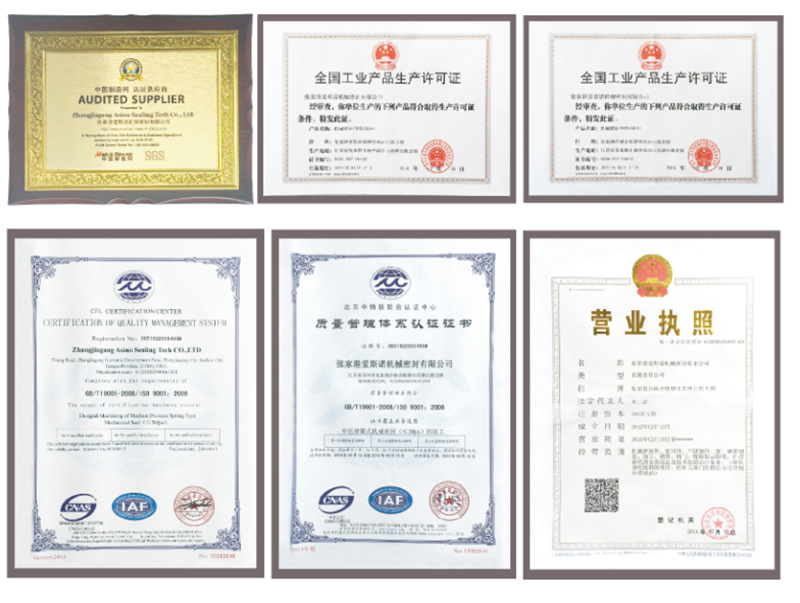 certificate of Burgmann Cartex -Mtex Seals.png