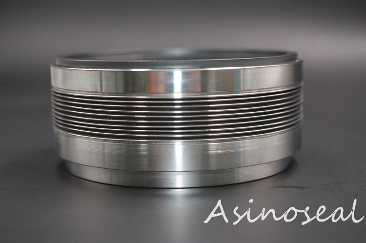 mechanical seal