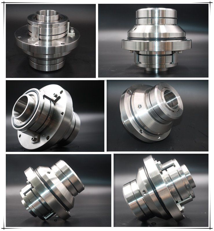 SAF 55 double cartridge mechanical seal 20220903_