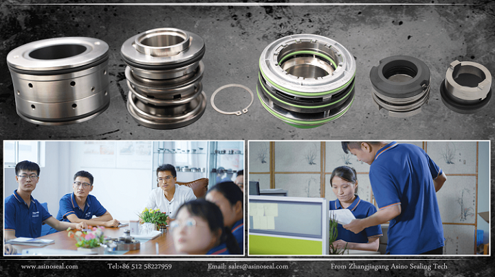 Pump seals，mechanical seal manufacturer supplier | Asinoseal