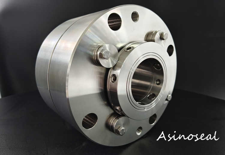 double mechanical seal type(logo)