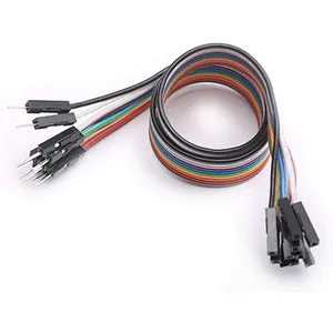 Custom Male to Female 1P 2P 3P 4P 5P 6P 10P 20P 30P 40P DuPon 2.54mm Breadboard Line flat ribbon