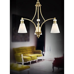 Modern luxury elegant painting gold chandelier pendant light beautiful E14 high-end pendant light