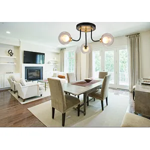 modern design indoor ceiling light