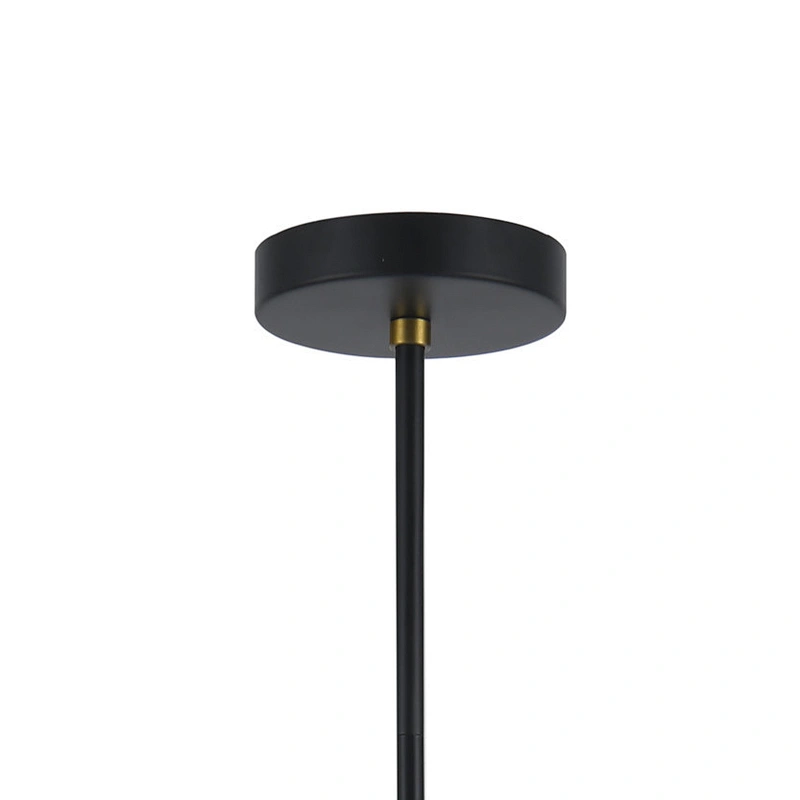 Modern black meals pendant light Zhongshan wholesale new design european indoor 6 lights chandelier
