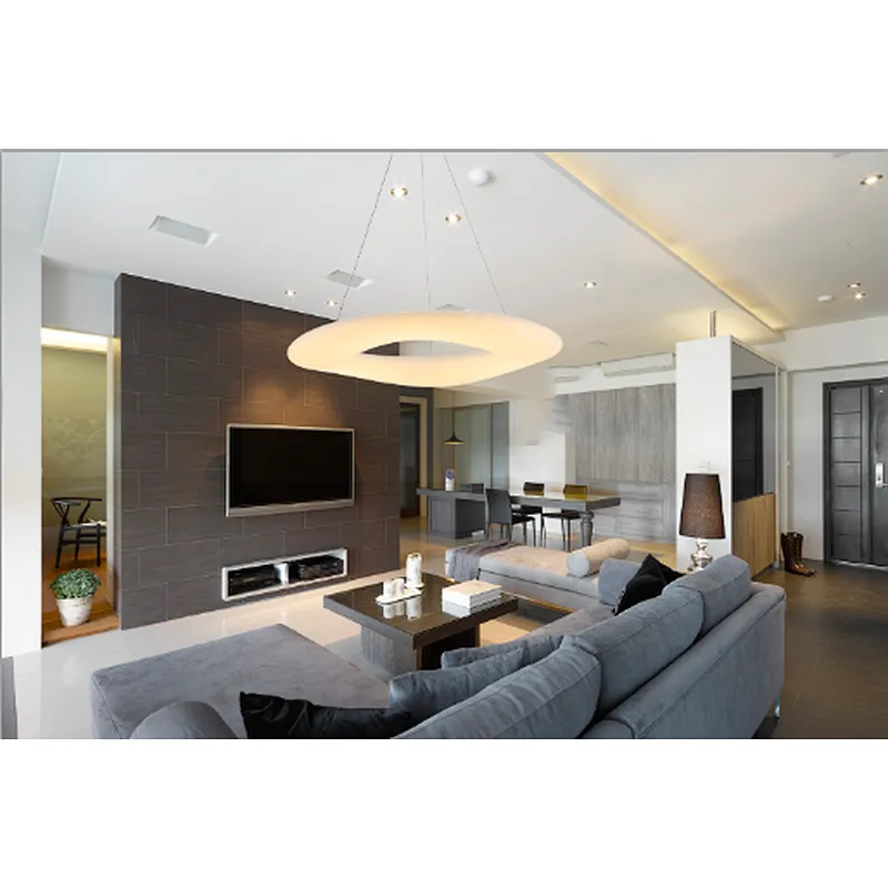 European modern acrylic pendant light home hotel decoration LED pendant light