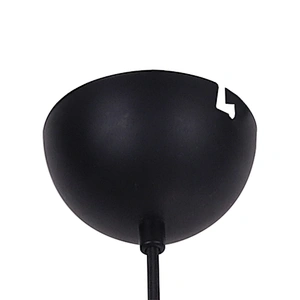 Vintage New Product Industrial Black Painting Metal Pendant Light