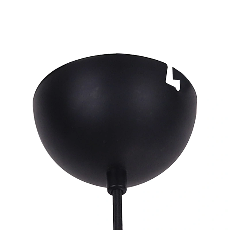 Vintage New Product Industrial Black Painting Metal Pendant Light