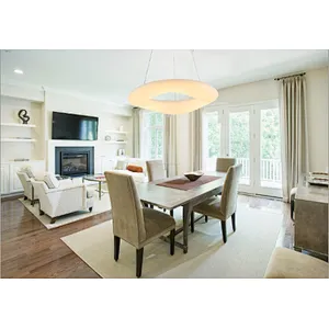 European modern acrylic pendant light home hotel decoration LED pendant light