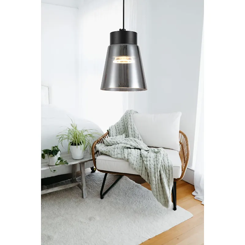 2022 European modern smoke grey glass pendant lamp fashion LED 20W hanging lamp for dining kitchen bedside