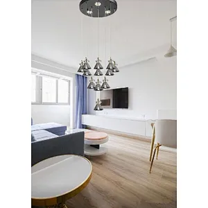 Nordic modern beautiful fashion led ceiling pendant light
