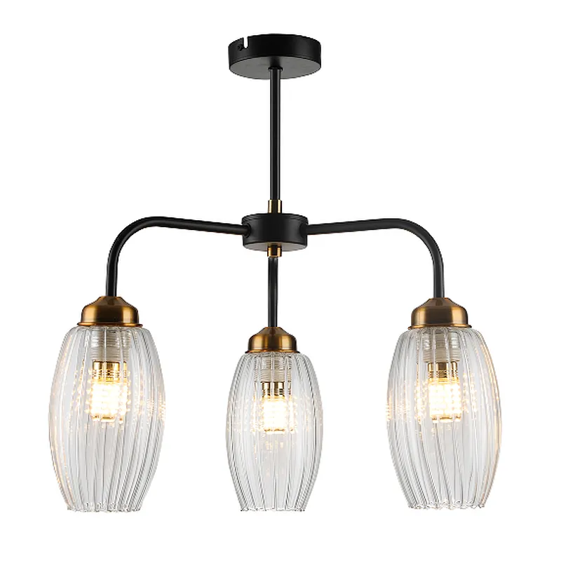 Nordic modern contracted clear glass ceiling light house