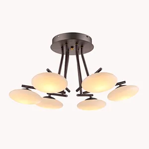 Zhongshan factory direct sales of European postmodern LED lights acrylic ceiling lamp