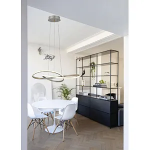 Chinese modern creative chrome aluminum 50W led pendant light