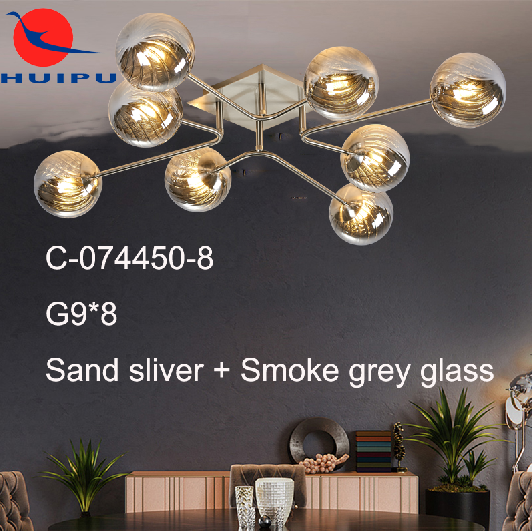 Fashion modern ceiling lamp indoor lamp