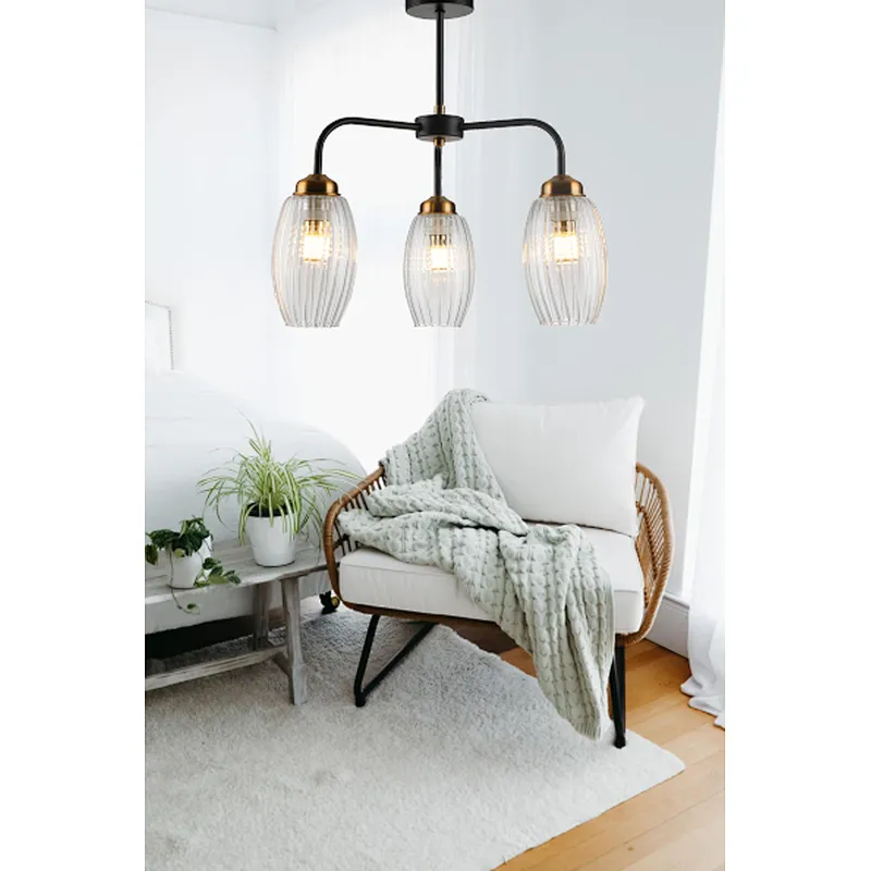 Nordic modern contracted clear glass ceiling light house