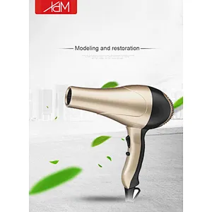 Hot Sale Fashion Design Home Use Hair Dryer Hair Salon Equipment Hair Dryer