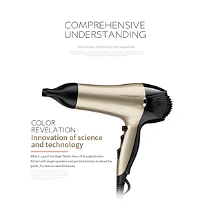 Wholesale Electric Ionic Hairdryer Professional Salon  Hair Blower Dryer Sexy Hair Dryer Sale