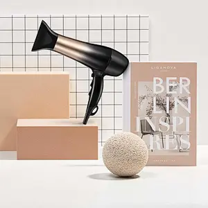 1875W Hair Dryer, Nano Ionic Blow Dryer Professional Salon Hair Blow Dryer Lightweight Fast Dry Low Noise, with Concentrator