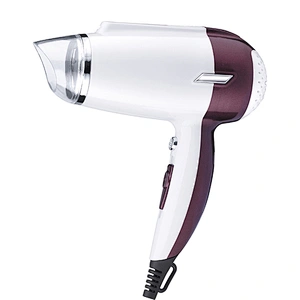 Professional DC Motor with Concentrator Home Use Hair Dryer Hair Salon Equipment Hair Dryer