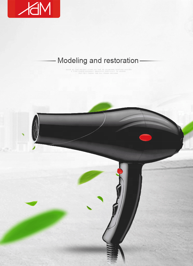 Wholesale Best Price DC Motor High Speed Hair Dryer Professional Blow Dryer Hair Dryer