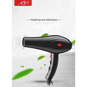 Wholesale Best Price DC Motor High Speed Hair Dryer Professional Blow Dryer Hair Dryer