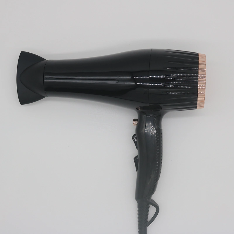 Wholesale Custom DC Motor Professional Hair Blow Dryer High Speed Hair Dryer Wind Nose Ionic Function Overheating Protection