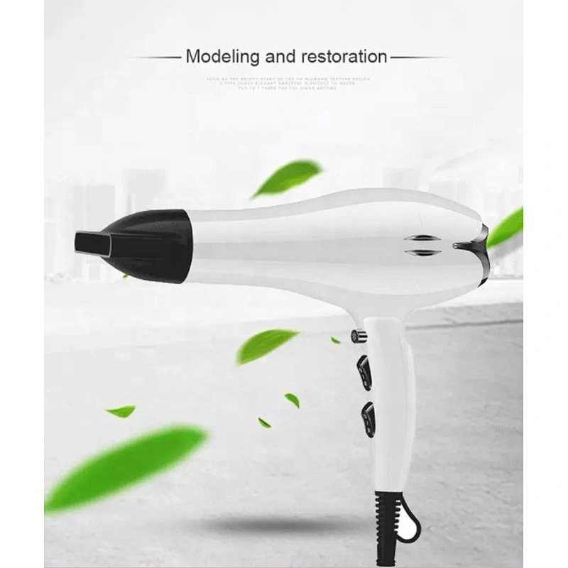 Barber Hair Styling Tools Professional Hair Dryer 2200w AC Motor Hair Dryer For Salons Household Use