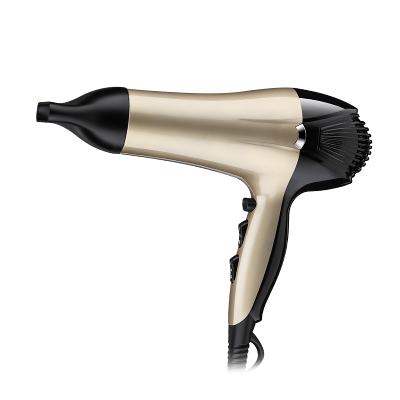 Hot Selling Salon Professional DC Motor with Concentrator/Diffuser/Ionic and Induction Function Professional blow Hair dryer