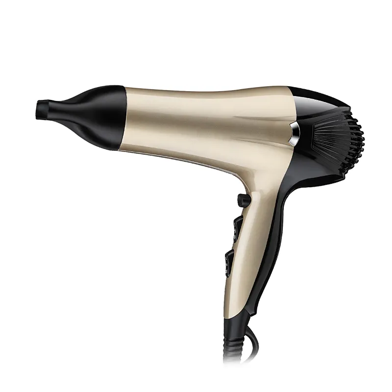 Hot Selling Salon Professional DC Motor with Concentrator/Diffuser/Ionic and Induction Function Professional blow Hair dryer