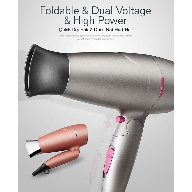 Wholesale OEM Factory Custom LOGO Double Voltage Travel Hair Dryer Hair Salon Equipment Hair Dryer