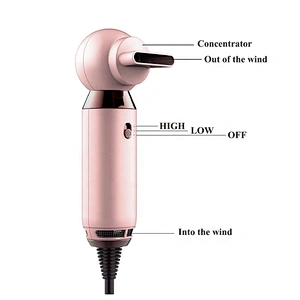 Amazon Wholesale Fashion Sale One Step Hair Dryer 800W Mini Travel Hair Dryer
