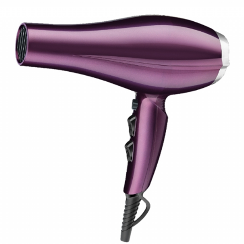 Far Infrared Ionic Hair Salon Equipment Blow Dryer Hair Dryer