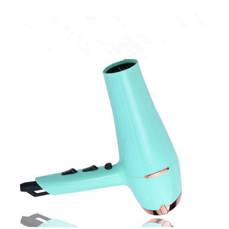 Professional DC Motor Hair Salon Equipment Blow Dryer Hair Dryer
