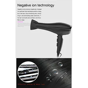 Far Infrared Ionic Hair Salon Equipment Blow Dryer Hair Dryer