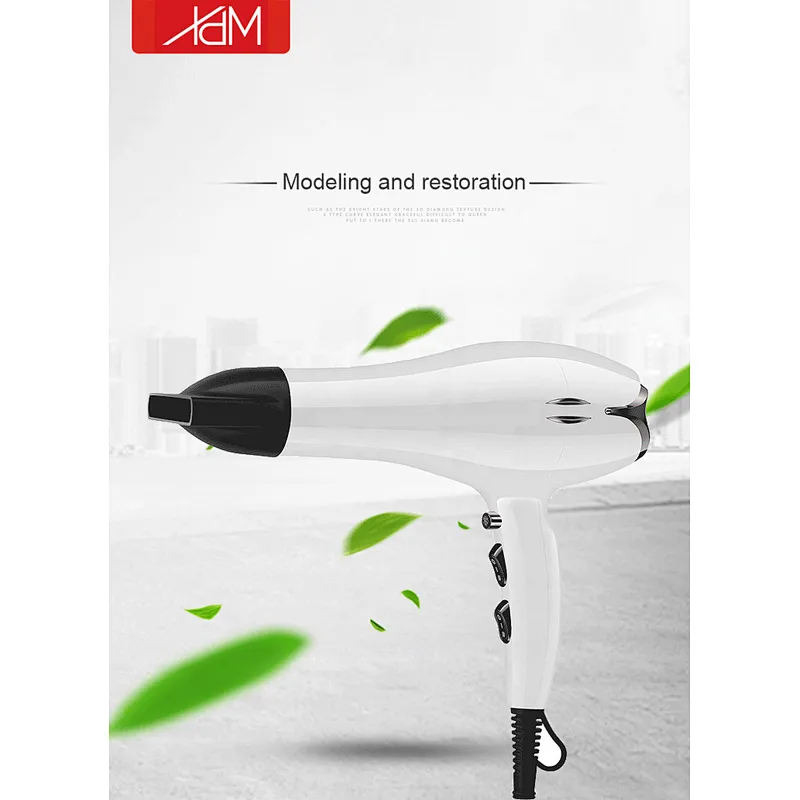 New design OEM AC motor coiled heater Ionic separated function cheapness  Amazon selling customize professional hair dryer