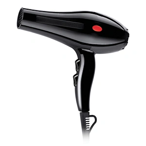 Factory custom fashion professional AC Motor Salon Hair Dryer